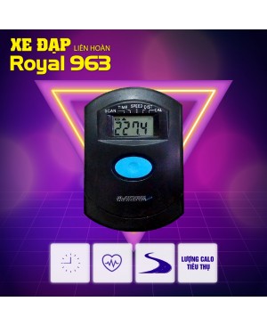Xe đạp Platium 963